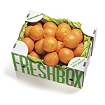 Orangen Box Tarocco